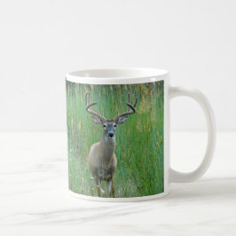 Whitetail Deer in der Wiese-Tasse Kaffeetasse