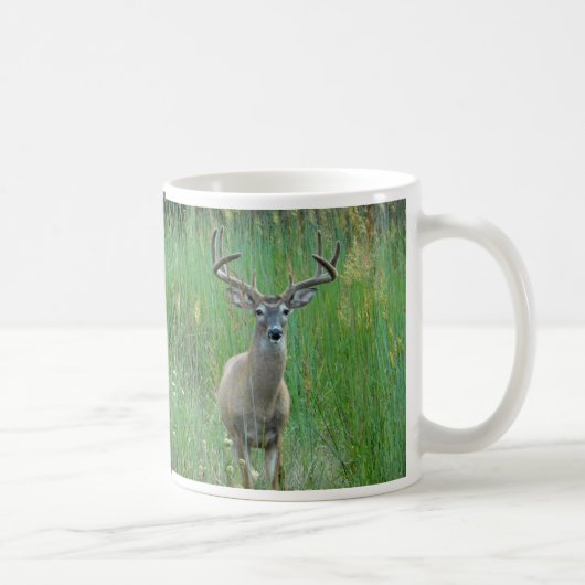 Whitetail Deer in der Wiese-Tasse Kaffeetasse (Rechts)
