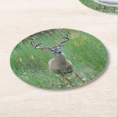 Whitetail Deer in Meadow Paper Untersetzer (Angewinkelt)