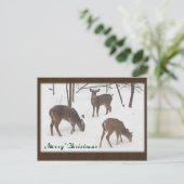 Whitetail Deer in Snowy Woods - Frohe Weihnachten (Stehend Vorderseite)