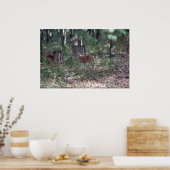 Whitetail Deer in the Poconos, Print 0200 Poster (Küche)