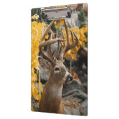 Whitetail Deer Klemmbrett (Links)