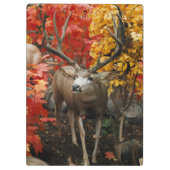 Whitetail Deer Klemmbrett (Rückseite)