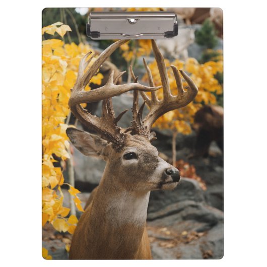 Whitetail Deer Klemmbrett (Vorderseite)