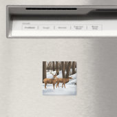 Whitetail Deer Magnet (In Situ (Geschirrspüler))