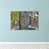 Whitetail Deer mit Herz auf Baum Leinwanddruck (Insitu (Holzboden))