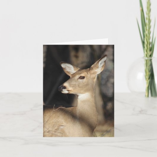 Whitetail Deer Notecard - Blank Inside Dankeskarte (Vorderseite)