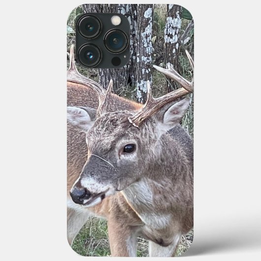 Whitetail Deer Phone Case (Rückseite)