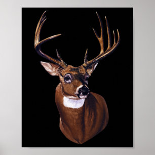 Whitetail Deer Portrait Antlers Wildlife Animal Poster