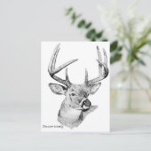 Whitetail Deer Postkarte (Stehend Vorderseite)
