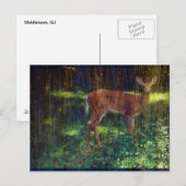Whitetail Deer Postkarte (Vorne/Hinten)