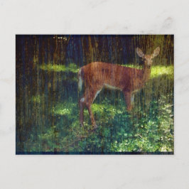 Whitetail Deer Postkarte