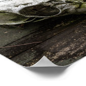 Whitetail Deer Skull Poster (Ecke)