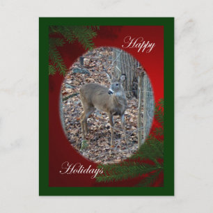 Whitetail Deer Spike Buck Happy Holidays Series Feiertagspostkarte