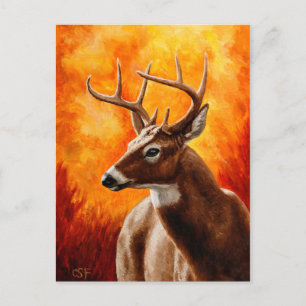 Whitetail Deer Trophy Buck Head Postkarte