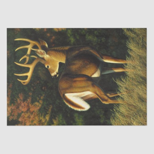 Whitetail Deer Trophy Buck Jagd Seidenpapier (Vorderseite)