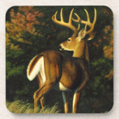 Whitetail Deer Trophy Buck Jagd Untersetzer (Vorderseite)