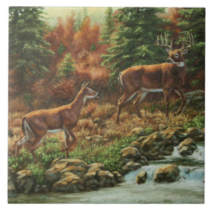 Whitetail Deer und Wasserfall Fliese
