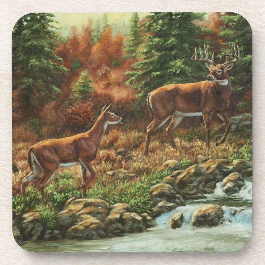 Whitetail Deer und Wasserfall Getränkeuntersetzer (Vorderseite)