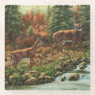 Whitetail Deer und Wasserfall Glasuntersetzer