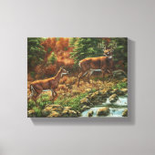 Whitetail Deer und Wasserfall Leinwanddruck (Vorderseite)