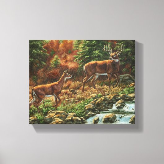 Whitetail Deer und Wasserfall Leinwanddruck (Vorderseite)