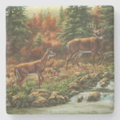 Whitetail Deer und Wasserfall Steinuntersetzer (Vorderseite)