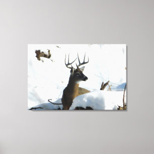 Whitetail Deer Winter Antlers Canvas Print Leinwanddruck