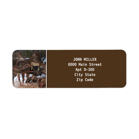 Whitetail Dei im Winter Rücksendeadresse-Label (Vorne)