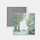 Whitetail Dez im Winter Schnee Wildlife Magnet (Vorderseite/Rückseite)