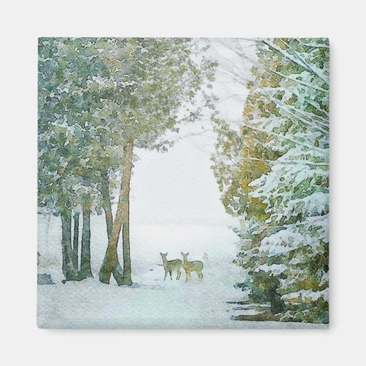 Whitetail Dez im Winter Schnee Wildlife Magnet (Vorne)