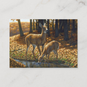 Whitetail Doe and Fawn Drinks aus einem Stream Visitenkarte