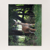 Whitetail Doe kommt aus dem Wald Puzzle (Vertikal)