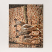 Whitetail Doe und ihr Vater im Herbstwald Puzzle (Vertikal)