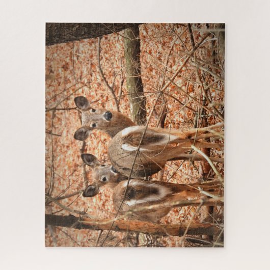 Whitetail Doe und ihr Vater im Herbstwald Puzzle (Vertikal)