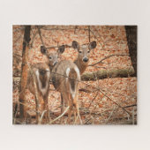 Whitetail Doe und ihr Vater im Herbstwald Puzzle (Horizontal)