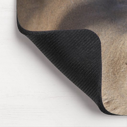 Whitetail-Dollar-Mausunterlage Mousepad (Ecke)