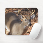 Whitetail-Dollar-Mausunterlage Mousepad (Mit Mouse)