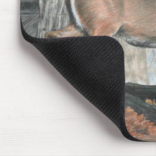 Whitetail-Dollar Mousepad (Ecke)