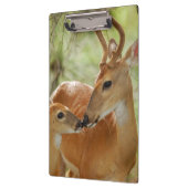 Whitetail-Dollar-und Kitz-Abbinden Klemmbrett (Links)
