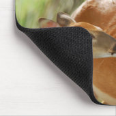 Whitetail-Dollar-und Kitz-Abbinden Mousepad (Ecke)