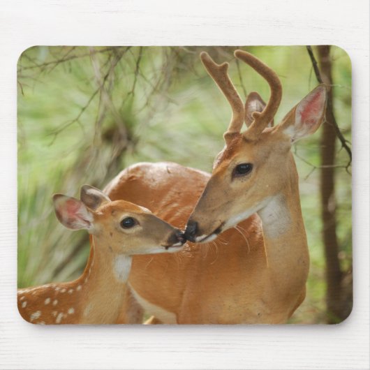 Whitetail-Dollar-und Kitz-Abbinden Mousepad (Vorne)