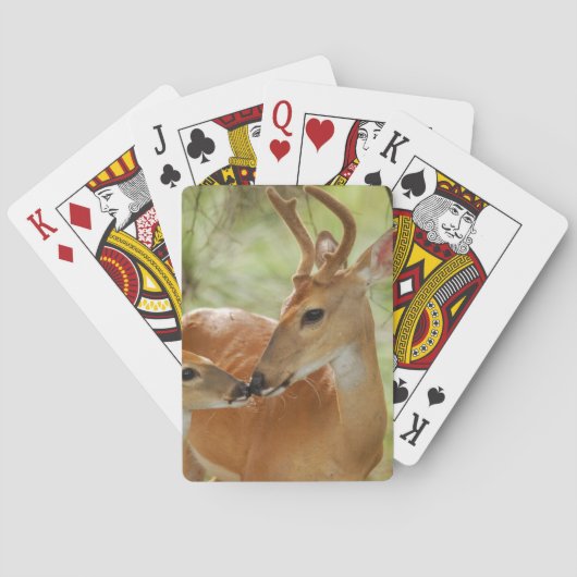 Whitetail-Dollar-und Kitz-Abbinden Spielkarten (Rückseite)