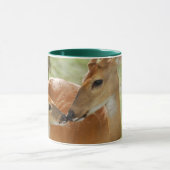 Whitetail-Dollar-und Kitz-Abbinden Tasse (Zentrum)