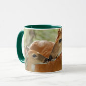 Whitetail-Dollar-und Kitz-Abbinden Tasse (Vorderseite Links)
