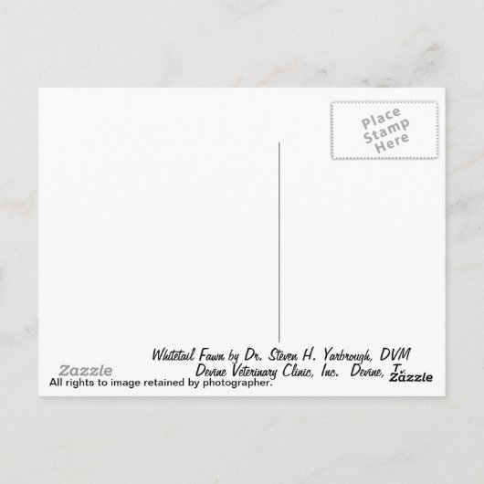 Whitetail Fawn Postkarte (Rückseite)