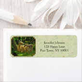 Whitetail Fawn und Doight Light Green (Insitu)