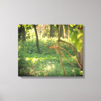 Whitetail Hirsch Leinwand