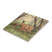 Whitetail Hirsch und Niedliche Zwillingsfaelder im Fliese (Seite)