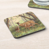 Whitetail Hirsch und Niedliche Zwillingsfaelder im Getränkeuntersetzer (Linke Seite)